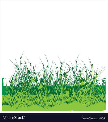 Wild flower garden vector image Wild flower garden vector image