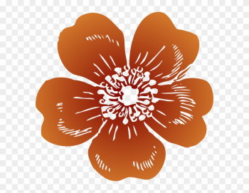 Wild Rose Vector Wild Rose Vector