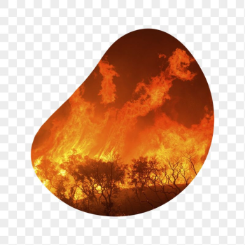 Wildfire png badge sticker, global | Free PNG - rawpixel