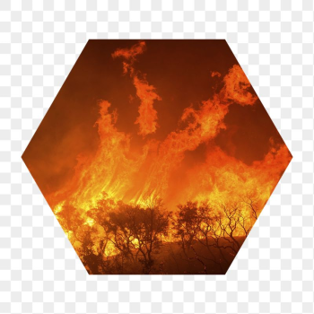 Wildfire png badge sticker, global | Free PNG - rawpixel