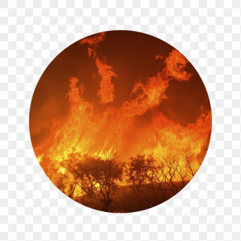 Wildfire png badge sticker, global | Free PNG - rawpixel