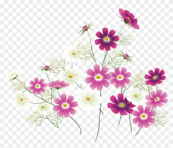 Wildflower Clip Art - Wildflower Clip Art Wildflower Clip Art - Wildflower Clip Art