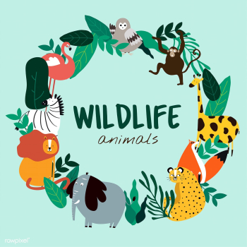 Wildlife animals cartoon style animals templa.. | Free stock vector - 477037