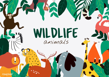 Wildlife animals cartoon style animals templa.. | Free stock vector - 477145
