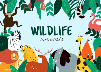 Wildlife animals cartoon style animals templa.. | Free stock vector - 477168
