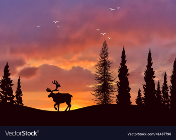wildlife landscape with reindeer forest at sunset wildlife landscape with reindeer forest at sunset
