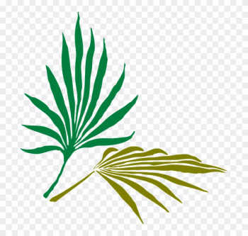 Willow Leaf Cliparts 11, Buy Clip Art - Palm Frond Clip Art Willow Leaf Cliparts 11, Buy Clip Art - Palm Frond Clip Art