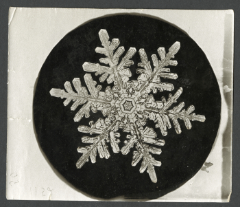 Wilson Bentley's Snowflake 1152 (ca. | Free Photo - rawpixel Wilson Bentley's Snowflake 1152 (ca. | Free Photo - rawpixel