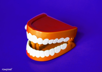 Wind up chattering teeth toy | Free stock photo - 412827