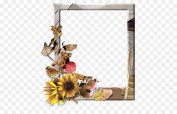 Window Picture Frames Floral design Flower Photography - aggies frame 
