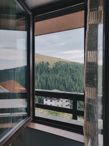 Window View of Green Trees Window View of Green Trees
