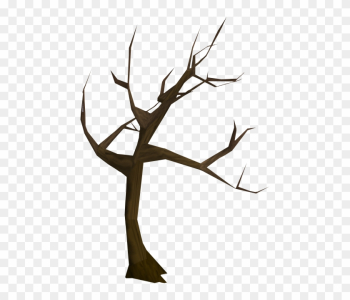 Windswept Tree - Dying Tree Png