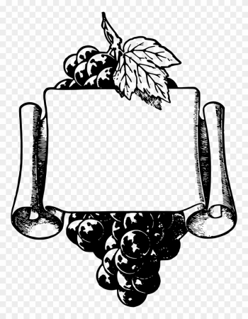 Wine Common Grape Vine Picture Frames Clip Art - Grape Frame Wine Common Grape Vine Picture Frames Clip Art - Grape Frame