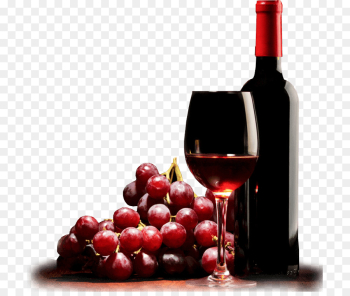 Wine glass Wine glass