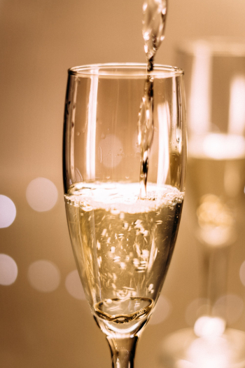 Wine Glass Wine Glass