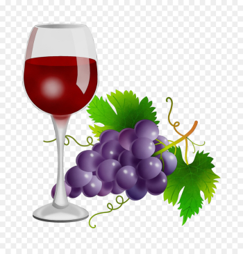 Wine glass Wine glass