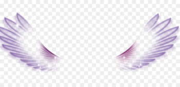 Wing White Feather - White Wings Wing White Feather - White Wings