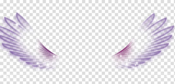 Wing White Feather, White Wings transparent background PNG clipart