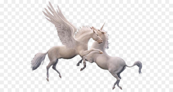Winged unicorn Pegasus Clip art - unicorn Winged unicorn Pegasus Clip art - unicorn
