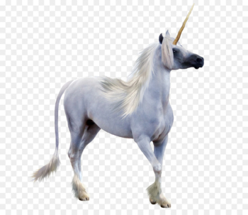 Winged unicorn Pegasus Unicorn horn - unicorn horn 