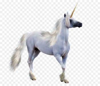 Winged unicorn Pegasus - Unicorn Transparent Png 