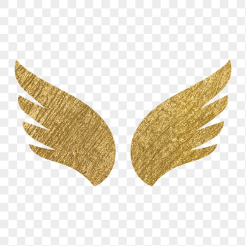 Wings png icon sticker, gold | Free Icons - rawpixel