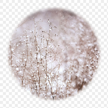 Winter flowers png badge sticker, | Free PNG - rawpixel