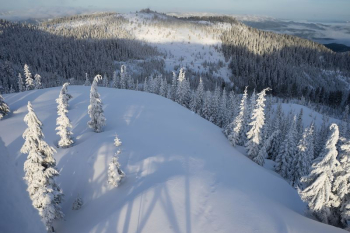 Winter | Free Photo - rawpixel Winter | Free Photo - rawpixel
