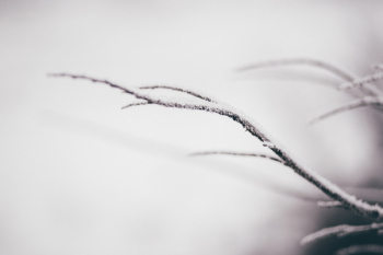 Winter frost 3 Winter frost 3