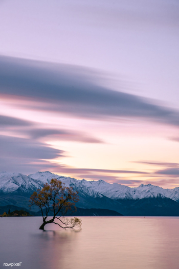 Winter lake | Free stock photo - 429789 Winter lake | Free stock photo - 429789