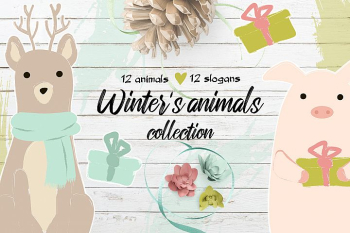 Winter's cute animals Winter's cute animals