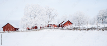 Winter scenery with red cottage surrounded by trees covrred with snow and frost. House painted in traditional Swedish color.