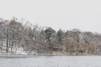 Winter Season By The Shore Winter Season By The Shore