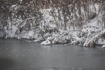 Winter Shore Line Winter Shore Line