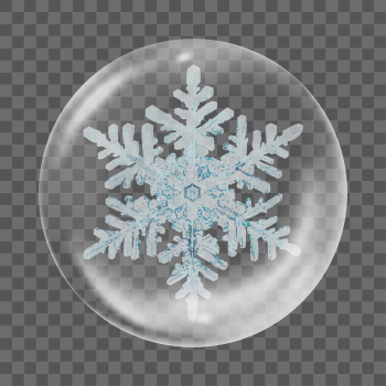 Winter snowflake png sticker,  | Free PNG - rawpixel