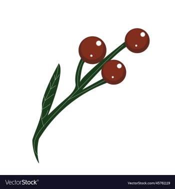 winter twig with red cranberries
