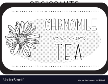 With subtle background and vintage typograph vector image