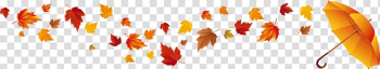 Withered autumn leaves transparent background PNG clipart