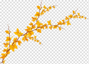 Withered autumn leaves transparent background PNG clipart