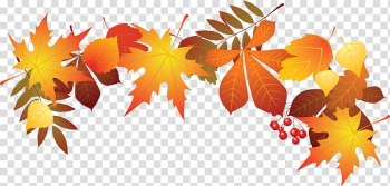 Withered autumn leaves transparent background PNG clipart