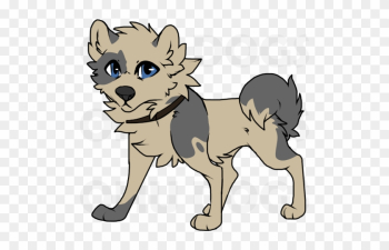 Wolf Dog - Leo Wolf Dog - Leo