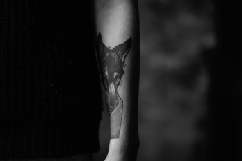 Wolf tattoo Wolf tattoo