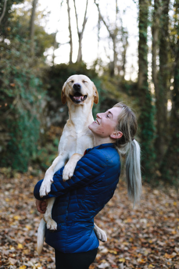 Woman Carrying Adult Fawn Dog Woman Carrying Adult Fawn Dog