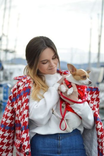woman carrying chihuahua woman carrying chihuahua