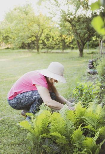 Woman Gardening Woman Gardening