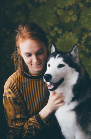 Woman Holding Adult Siberian Husky Woman Holding Adult Siberian Husky