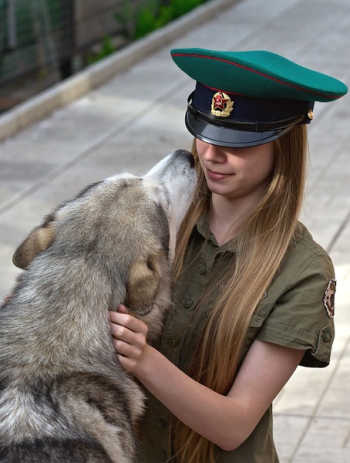 Woman Holding Adult Silver Siberian Husky Woman Holding Adult Silver Siberian Husky