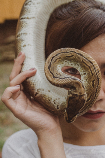 Woman Holding Brown Snake Woman Holding Brown Snake