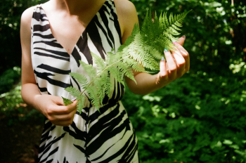 Woman Holding Fern Plant Woman Holding Fern Plant