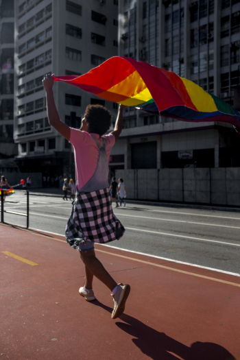 Woman Holding Flag Woman Holding Flag